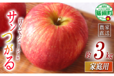 りんご サンつがる 家庭用 3kg マルハ農園 沖縄県への配送不可 2025年9月上旬頃から2025年9月下旬頃まで順次発送予定 令和7年度収穫分 エコファーマー認定 信州 果物 フルーツ リンゴ 林檎 長野 9500円 予約 農家直送 長野県 飯綱町 [1929]