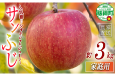 りんご サンふじ 家庭用 3kg マルハ農園 沖縄県への配送不可 2025年12月上旬頃から2025年12月下旬頃まで順次発送予定 令和7年度収穫分 エコファーマー認定 信州 果物 フルーツ リンゴ 林檎 長野 9500円 予約 農家直送 長野県 飯綱町 [1931]
