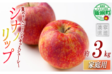 りんご シナノリップ 家庭用 3kg マルカズりんご農園 沖縄県への配送不可 2025年8月中旬頃から2025年8月下旬頃まで順次発送予定 令和7年度収穫分 信州 果物 フルーツ リンゴ 林檎 長野 12000円 予約 農家直送 長野県 飯綱町 [1934]