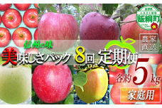 旬のりんご 【 定期便 】 家庭用 5kg × 8回 ヤマウラ農園 沖縄県への配送不可 2025年8月中旬頃から2025年12月中旬頃まで順次発送予定 令和7年度収穫分 信州 果物 フルーツ リンゴ 林檎 長野 117000円 予約 農家直送 長野県 飯綱町 [1938]
