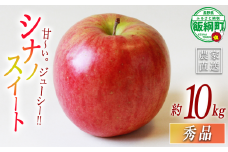 りんご シナノスイート 秀 10kg エバラ農園 減農薬栽培 2025年10月中旬頃から2025年11月下旬頃まで順次発送予定 令和7年度収穫分 信州 果物 フルーツ リンゴ 林檎 長野 26500円 予約 農家直送 長野県 飯綱町 [1946]