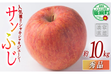 りんご サンふじ 秀 10kg エバラ農園 減農薬栽培 2025年11月中旬頃から2026年1月上旬頃まで順次発送予定 令和7年度収穫分 信州 果物 フルーツ リンゴ 林檎 長野 26500円 予約 農家直送 長野県 飯綱町 [1948]