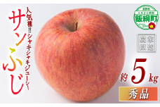 りんご サンふじ 秀 5kg エバラ農園 減農薬栽培 沖縄県への配送不可 2025年11月中旬頃から2026年1月上旬頃まで順次発送予定 令和7年度収穫分 信州 果物 フルーツ リンゴ 林檎 長野 16000円 予約 農家直送 長野県 飯綱町 [1947]