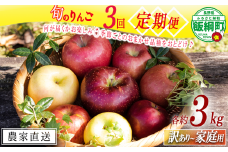 【 定期便 】 旬のりんご 品種おまかせ 家庭用 〜 訳あり 3kg × 3回 永野農園 沖縄県への配送不可 2025年10月上旬頃から2025年12月下旬頃まで順次発送予定 令和7年度収穫分 信州 果物 フルーツ リンゴ 林檎 10月 11月 12月 長野 予約 農家直送 長野県 飯綱町 [1955]