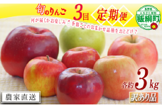 【 定期便 】 旬のりんご 品種おまかせ 訳あり 3kg × 3回 ファームたんぽぽ 沖縄県への配送不可 2025年10月上旬頃から2025年12月下旬頃まで順次発送予定 令和7年度収穫分 信州 果物 フルーツ リンゴ 林檎 10月 11月 12月 長野 予約 農家直送 長野県 飯綱町 [1957]