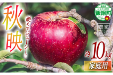 りんご 秋映 家庭用 10kg 相澤農園 2025年9月下旬頃から2025年10月中旬頃まで順次発送予定 令和7年度収穫分 長野県 飯綱町 [1962]