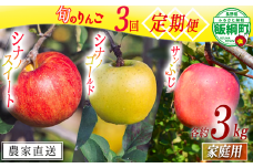 旬のりんご 【 定期便 】 家庭用 3kg ×3回 相澤農園 沖縄県への配送不可 2025年10月中旬頃から2025年12月中旬頃まで順次発送予定 令和7年度収穫分 長野県 飯綱町 [1963]