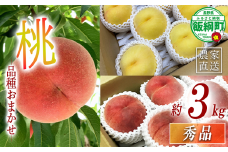 季節の桃 もも 秀品 3kg ( 品種はおまかせ ) 特別栽培 配送先は本州限定 2025年8月上旬頃から2025年9月下旬頃まで順次発送予定 令和7年収穫分 信州 果物 フルーツ モモ 桃 長野 17500円 予約 長野県 飯綱町 [1915]