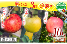 旬のりんご 【 定期便 】 家庭用 10kg ×3回 相澤農園  2025年10月中旬頃から2025年12月中旬頃まで順次発送予定 令和7年度収穫分 長野県 飯綱町 [1965]