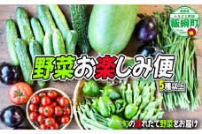 【 冷蔵 】 信州産 飯綱町産  野菜 お楽しみ便 5種類以上 100サイズ くろやなぎ農園 沖縄県への配送不可 2025年7月上旬頃から2025年11月下旬頃まで順次発送予定 信州 野菜 22500円 長野県 飯綱町 [1983]