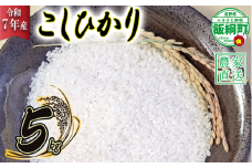 【 りんご農家のお米 コシヒカリ 】 米 こしひかり 5kg ( 令和7年産 ) 相澤農園 2025年11月上旬頃から順次発送予定 沖縄県への配送不可 コシヒカリ 白米 精米 お米 信州 16000円 予約 農家直送 長野県 飯綱町 [1959]