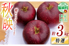 りんご 秋映 特選 3kg やまじゅうファーム 沖縄県への配送不可 2025年10月上旬頃から2025年10月中旬頃まで順次発送予定 令和7年度収穫分 信州の環境にやさしい農産物 減農薬栽培 長野県 飯綱町 [1989]