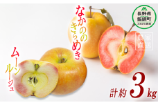 りんご ムーンルージュ ＆ なかののきらめき 3kg 詰め合わせ セット やまじゅうファーム 沖縄県への配送不可 2025年11月下旬頃から2025年12月上旬頃まで順次発送予定 令和7年度収穫分 信州の環境にやさしい農産物 減農薬栽培 長野県 飯綱町 [1991]