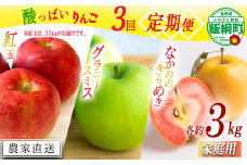 【 定期便 】すっぱいりんごシリーズ  家庭用約 3kg × 3回 やまじゅうファーム 沖縄県への配送不可 2025年10月上頃から2025年12月下旬頃まで順次発送予定 令和7年度収穫分 信州の環境にやさしい農産物 減農薬栽培 長野県 飯綱町 [1992]