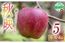りんご 秋映 秀 〜 特秀 5kg 永正の地蔵尊神谷農園 沖縄県への配送不可 2025年10月上旬頃から2025年12月上旬頃まで順次発送予定 令和7年度収穫分 信州 果物 フルーツ リンゴ 林檎 長野 15500円 予約 農家直送 長野県 飯綱町 [1861]