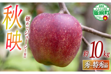 りんご 秋映 秀 ～ 特秀 10kg 永正の地蔵尊神谷農園 2025年10月上旬頃から2025年12月上旬頃まで順次発送予定 令和7年度収穫分 信州 果物 フルーツ リンゴ 林檎 長野 25500円 予約 農家直送 長野県 飯綱町 [1862]