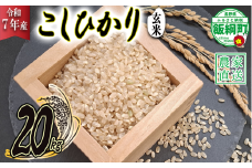 【 令和7年度産 玄米 20kg 】信州 飯綱町産 コシヒカリ （ 玄米 ） 20kg 2025年10月より順次発送予定 寺島農園 こしひかり 信州 長野県 飯綱町 [2003]
