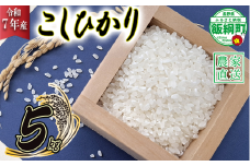 米 こしひかり 5kg ( 令和7年産 ) 山岸ファームのお米 沖縄県への配送不可 2025年10月上旬頃から順次発送予定 コシヒカリ 白米 精米 お米 信州 予約 農家直送 長野県 飯綱町 [2000]