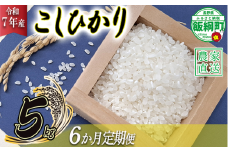 米 こしひかり 5kg × 6回 【 6か月 定期便 】 ( 令和7年産 ) 山岸ファームのお米 沖縄県への配送不可 2025年10月上旬頃から順次発送予定 コシヒカリ 白米 精米 お米 信州 予約 農家直送 長野県 飯綱町 [2002]