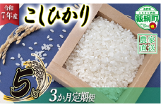 米 こしひかり 5kg × 3回 【 3か月 定期便 】 ( 令和7年産 ) 山岸ファームのお米 沖縄県への配送不可 2025年10月上旬頃から順次発送予定 コシヒカリ 白米 精米 お米 信州 予約 農家直送 長野県 飯綱町 [2001]