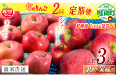 【 定期便 / フレッシュ便 】 旬のりんご 家庭用 〜 訳あり 3kg × 2回 葉とらずりんご フレッシュフルーツミカズキ 沖縄県への配送不可 2025年10月中旬頃から2025年12月中旬頃までお申込み順に発送予定 令和7年度収穫分 リンゴ アップル シナノスイート サンフジ サンふじ 長野県 飯綱町 [2010]