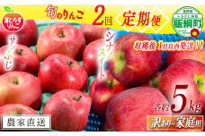 【 定期便 / フレッシュ便 】 旬のりんご 家庭用 〜 訳あり 5kg × 2回 葉とらずりんご フレッシュフルーツミカズキ 沖縄県への配送不可 2025年10月中旬頃から2025年12月中旬頃までお申込み順に発送予定 令和7年度収穫分 リンゴ アップル シナノスイート サンフジ サンふじ 長野県 飯綱町 [2011]