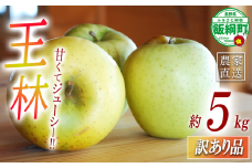 【 あまいりんご ／ 王林 】 りんご 王林 訳あり 5kg アグリファーム小林 信州の環境にやさしい農産物認証 （ 長野県認証 No50-30-00064 ） 沖縄県への配送不可 2025年11月上旬頃から2025年11月下旬頃まで順次発送予定 令和7年度収穫分 甘いりんご 長野県 飯綱町 [1998]