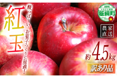 りんご 紅玉 訳あり 4.5kg アグリファーム小林 信州の環境にやさしい農産物認証 （ 長野県認証 No50-30-00064 ） 沖縄県への配送不可 2025年10月上旬頃から2025年10月下旬頃まで順次発送予定 令和7年度収穫分 クッキングアップル 長野県 飯綱町 [1997]