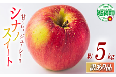 【 甘さ最強 / シナノスイート 】 りんご シナノスイート 訳あり 5kg 沖縄県への配送不可 2025年10月下旬頃から2025年11月上旬頃まで順次発送予定 ふるさと振興公社 リンゴ 林檎 長野県 飯綱町 [2019]
