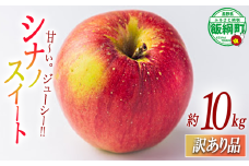 【 甘さ最強 / シナノスイート 】 りんご シナノスイート 訳あり 10kg 2025年10月下旬頃から2025年11月上旬頃まで順次発送予定 ふるさと振興公社 リンゴ 林檎 長野県 飯綱町 [2020]