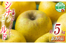 【 甘酸っぱい / シナノゴールド 】 りんご シナノゴールド 訳あり 5kg 沖縄県への配送不可 2025年11月上旬頃から2025年12月上旬頃まで順次発送予定 ふるさと振興公社 リンゴ 林檎 長野県 飯綱町 [2022]