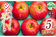 りんご シナノスイート 訳あり 5kg 原山農園 沖縄県への配送不可 2025年10月中旬頃から2025年11月上旬頃まで順次発送予定 令和7年度収穫分 信州 果物 フルーツ リンゴ 林檎 長野 予約 農家直送 長野県 飯綱町 [2024]