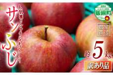りんご サンふじ 訳あり 5kg 原山農園 沖縄県への配送不可 2025年12月中旬頃から2026年2月上旬頃まで順次発送予定 令和7年度収穫分 傷 不揃い リンゴ 林檎 果物 フルーツ 信州 長野 予約 農家直送 長野県 飯綱町 [2025]