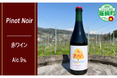 【 お酒 / 赤ワイン 】 Pinot Noir 2024 750ml アルコール度数 9% ピノ・ノワール 2024 TAMAI WINE 沖縄県への配送不可 ピノノワール 赤 クール便 長野県 飯綱町 [2037]