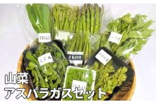 【期間限定！先行予約】来春発送!! 山菜・アスパラガスセット