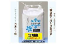 （令和7年産先行予約）【定期便】減農薬コシヒカリ「SNOW RICE」白米＜毎月5kg×12か月＞