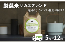 【いよいよ出荷！】ついに出ました厳選米サカエブレンド定期便 限定発売！毎月ちょうどいい量をお届けます!5kg毎月お届け(12回)