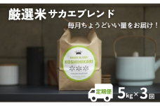 ★一次募集一旦終了★【令和7年産先行予約】ついに出ました厳選米サカエブレンド定期便 限定発売！毎月ちょうどいい量をお届けます!5kg毎月お届け(3回)