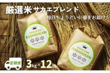 ★一次募集一旦終了★【令和7年産先行予約】ついに出ました厳選米サカエブレンド定期便 限定発売！毎月ちょうどいい量をお届けます!3kg毎月お届け(12回)