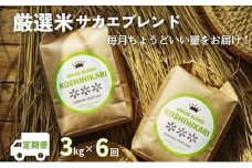 ★一次募集一旦終了★【令和7年産先行予約】ついに出ました厳選米サカエブレンド定期便 限定発売！毎月ちょうどいい量をお届けます!3kg毎月お届け(6回)