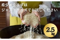 ≪令和7年産先行予約≫希少米 コタキホワイト 2.5kg