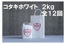≪令和7年産先行予約≫毎月ちょうどいい量をお届けします！希少米 コタキホワイト2kg 毎月お届け(全12回)お米マイスターもお勧め!!