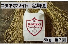 ≪令和7年産先行予約≫希少米 コタキホワイト 5kgをまずは3回！毎月お届け(全3回)お米マイスターもお勧め!!