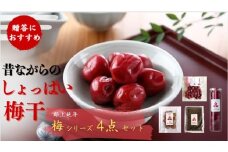 郡上延年梅セット