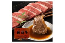 飛騨牛カルビ焼肉500g