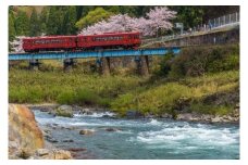 観光列車「ながら」ランチプラン シングル予約券