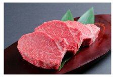 飛騨牛ヒレステーキ 200g×3枚