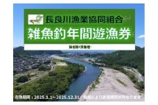 雑魚釣年間遊漁券