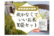 炊かなくていいお米 10袋セット GPF-11
