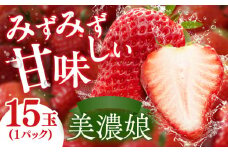 岐阜いちご 美濃娘【1月末までの入金で今期の発送】 イチゴ 苺 みのむすめ 岐阜市/JAぎふ [ANAO005]